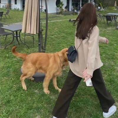 小姨怀春